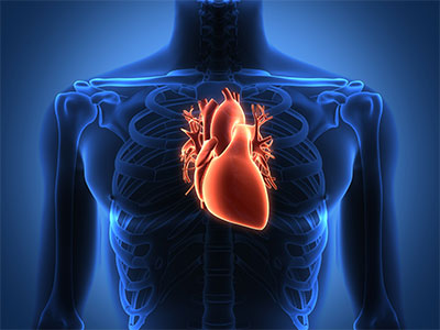 heart-transplant - ctvsurgeons