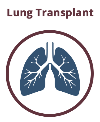 CVTSA-Icons-lung-transplant - ctvsurgeons